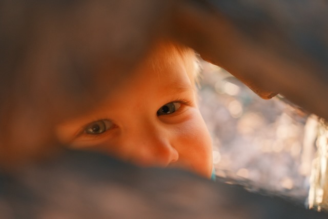 Photograph 19 by Frans Leys